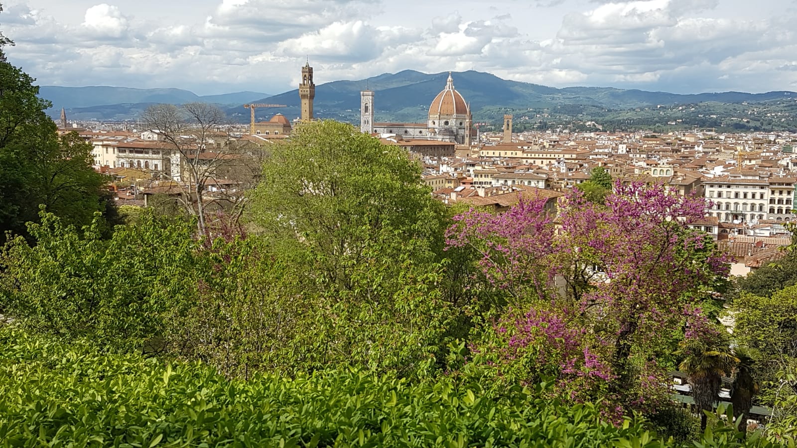 Villa Bardini Firenze